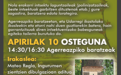 Taller de construcción de hoteles de insectos para manzanos y huertas